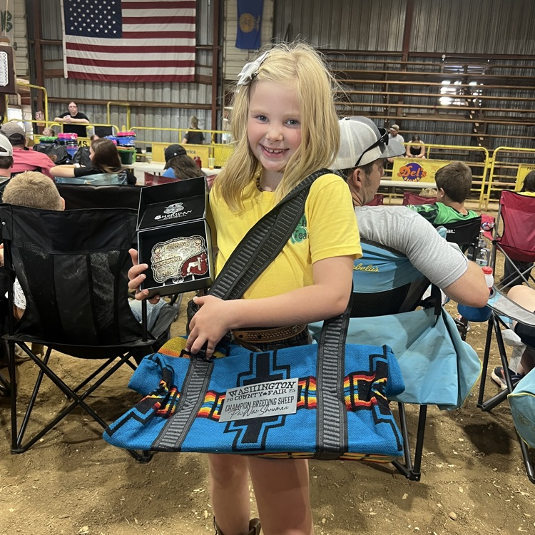 county fair