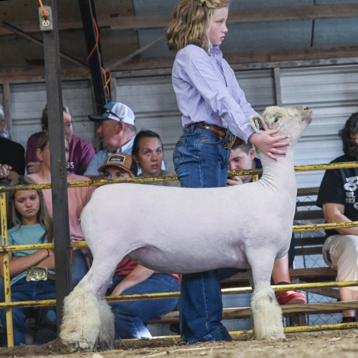 county fair