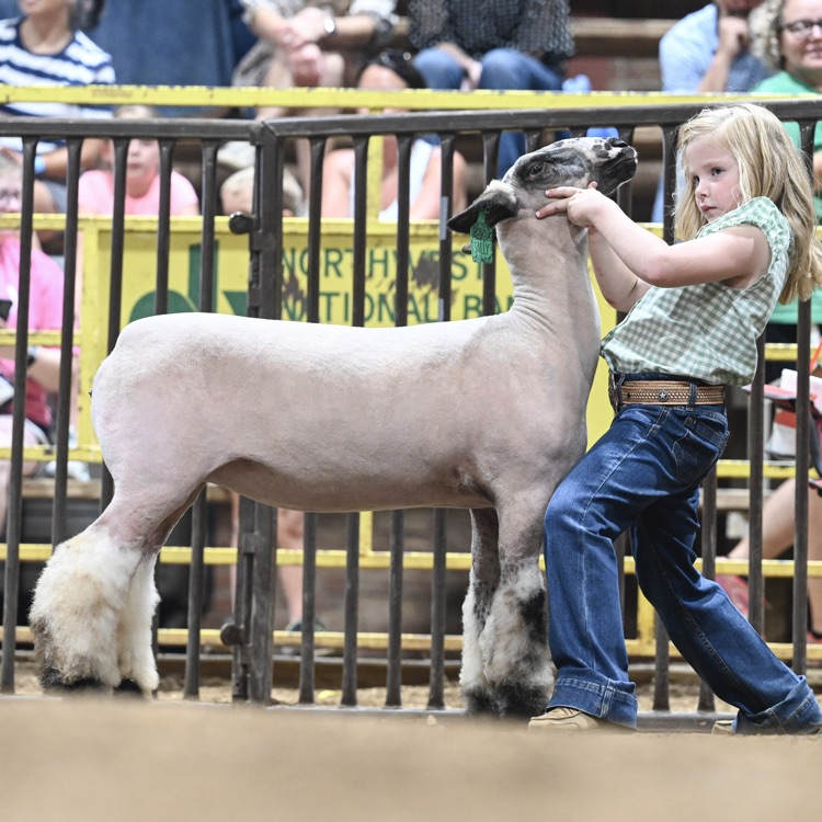 county fair