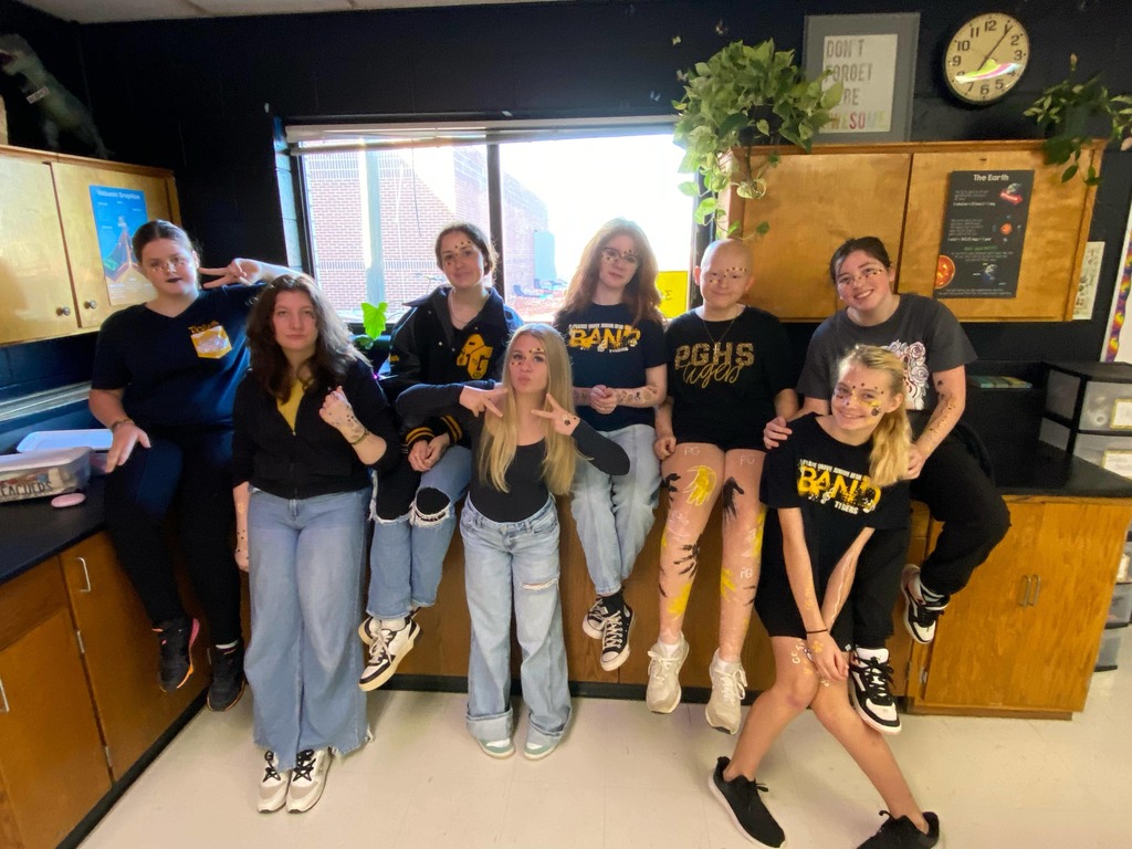 tiger spirit