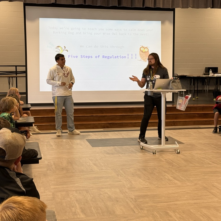 Arisa Health Presentations