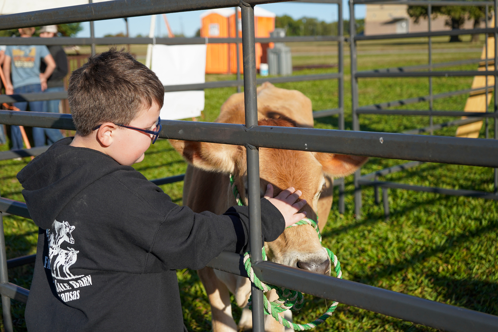 Fall Farm Adventure Field Trip