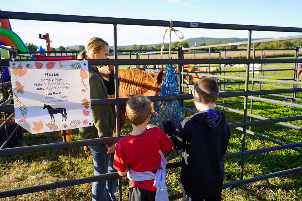 Fall Farm Adventure Field Trip