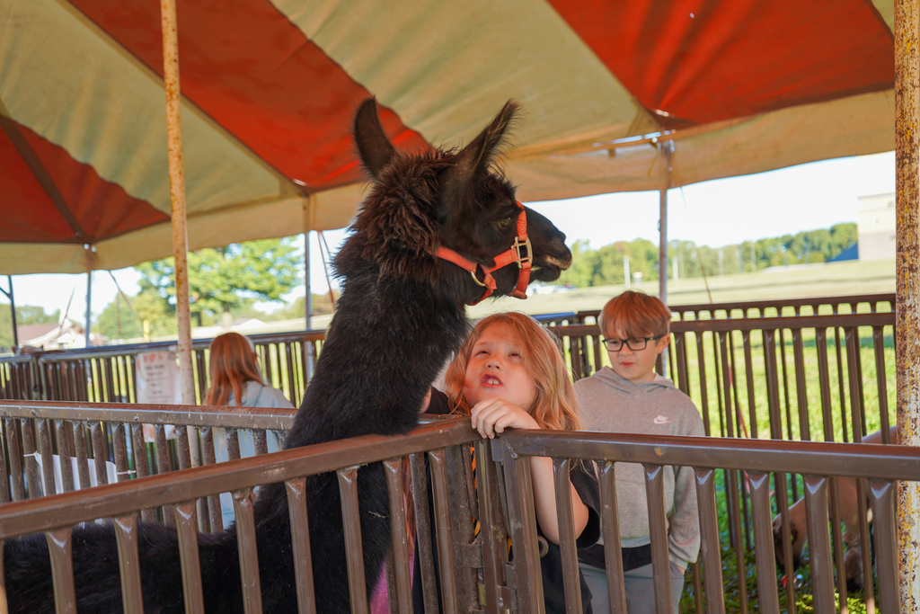 Fall Farm Adventure Field Trip