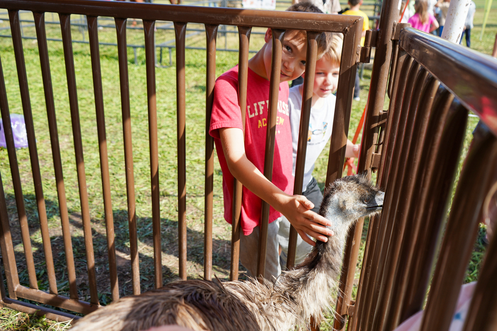 Fall Farm Adventure Field Trip