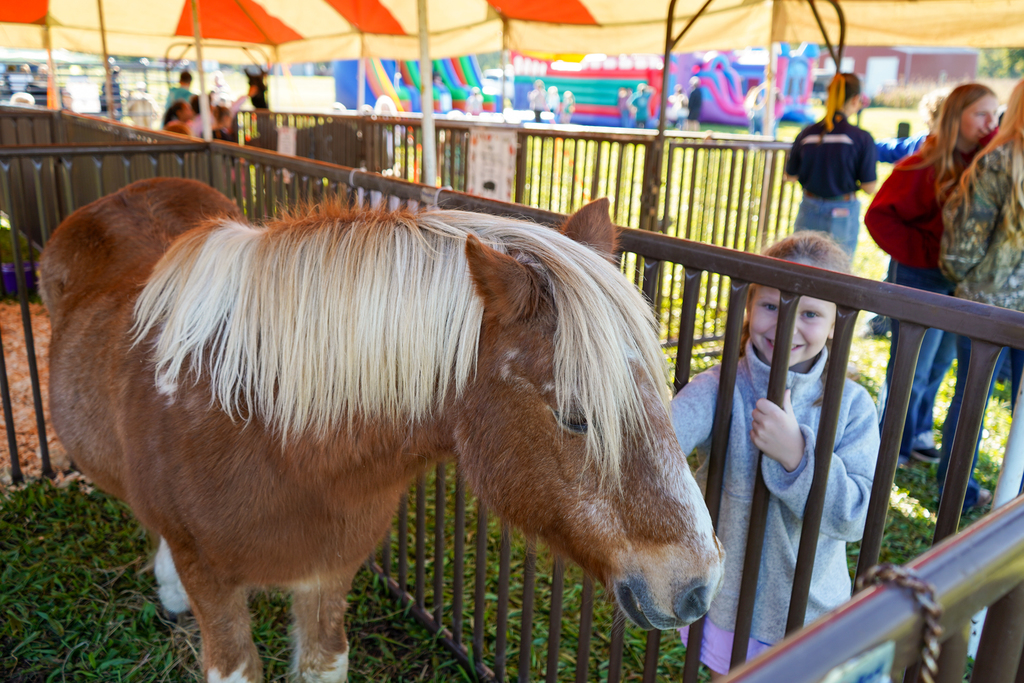 Fall Farm Adventure Field Trip