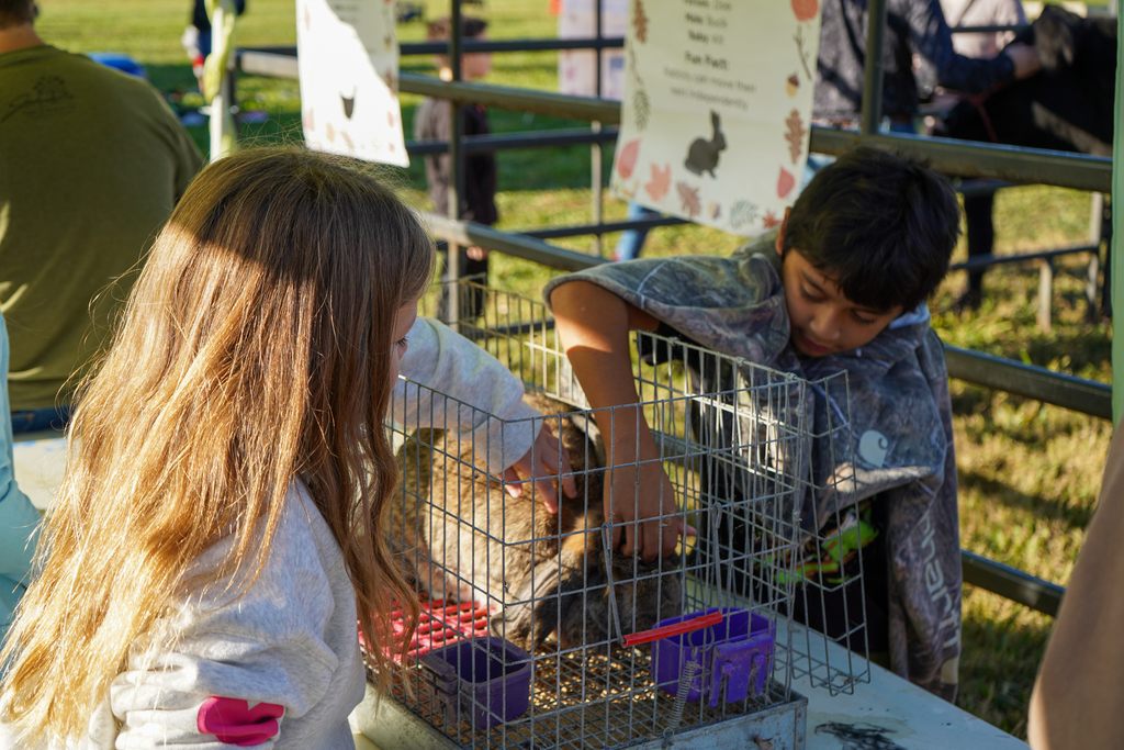 Fall Farm Adventure Field Trip