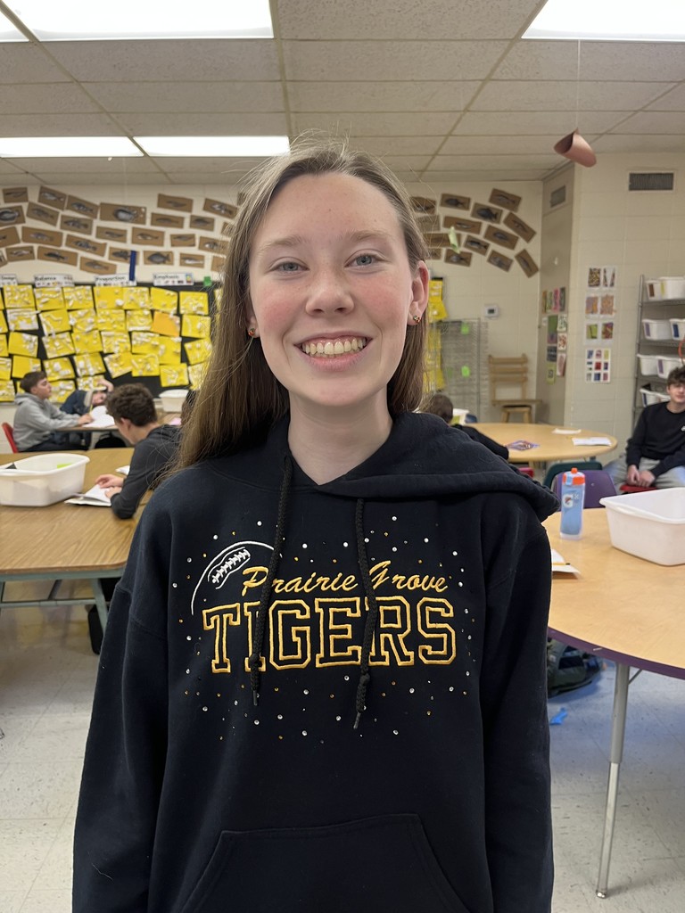 Junior high student Ali