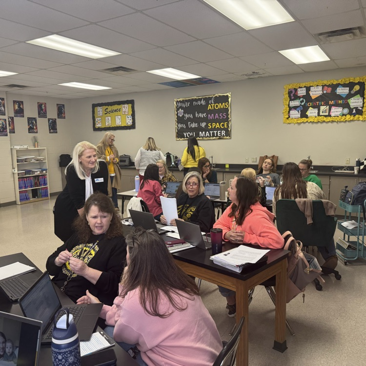 professional development of teachers working together 