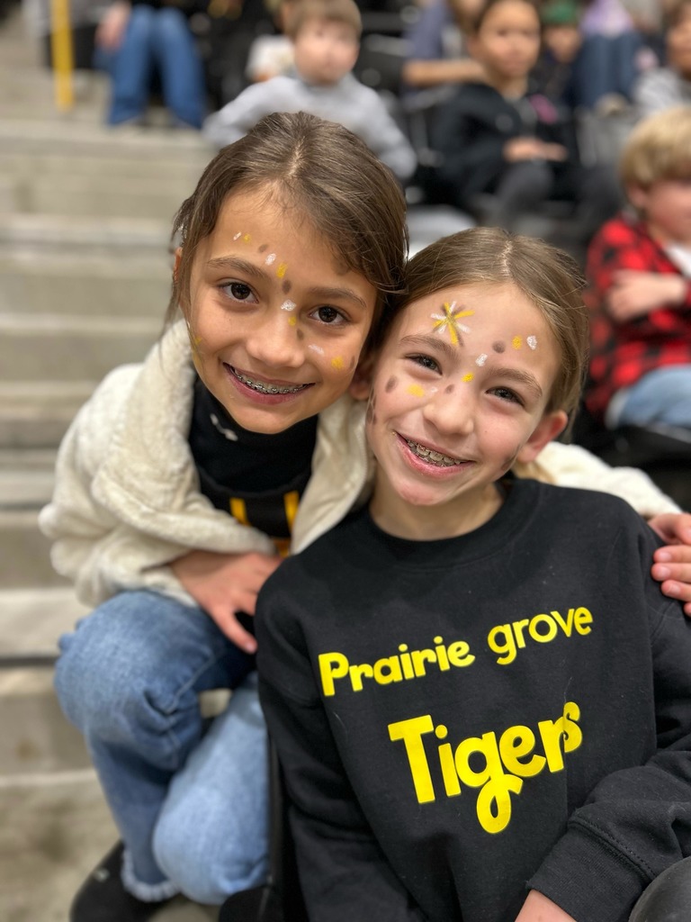 2 elementary girls with black, gold, and white face paint and tiger attire smiling together
