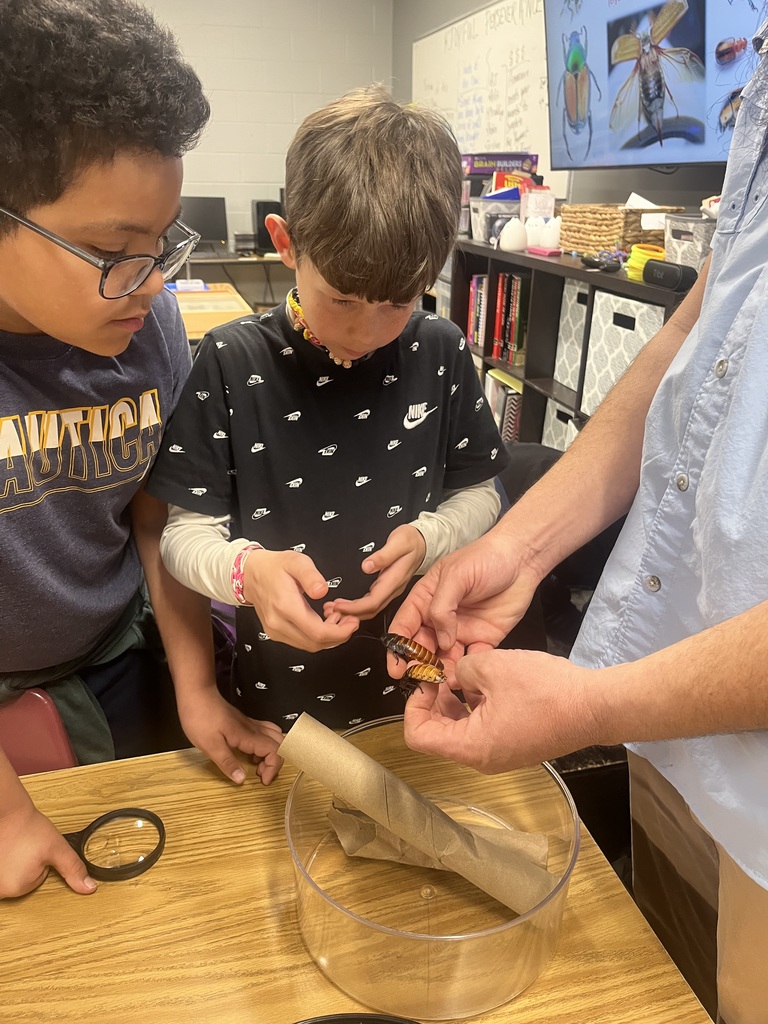 2 middle school boys looking at a professors hands holding hissing roaches 