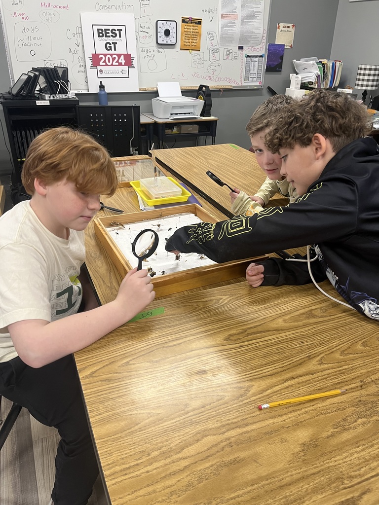 3 boys with a magnifying glass and box of various bugs investigating 