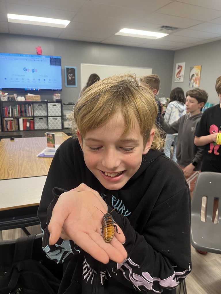 middle school boy holding a hissing roach! 