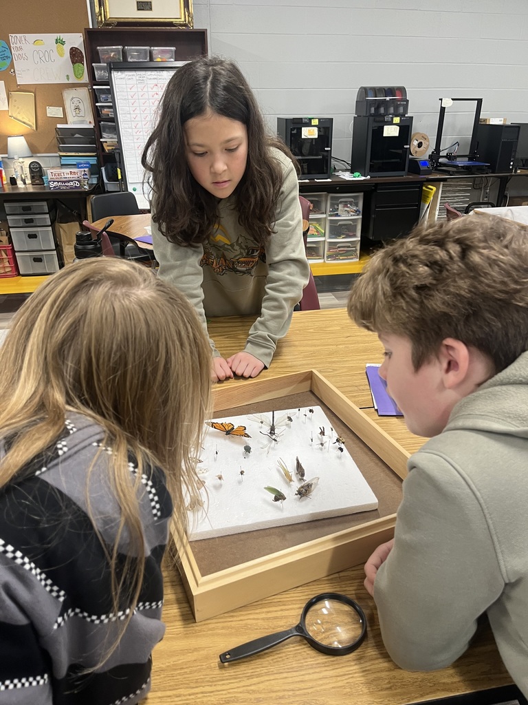 3 students looking into a box of bug examples