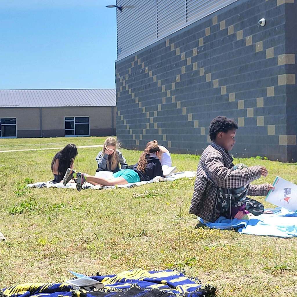 Book Picnic