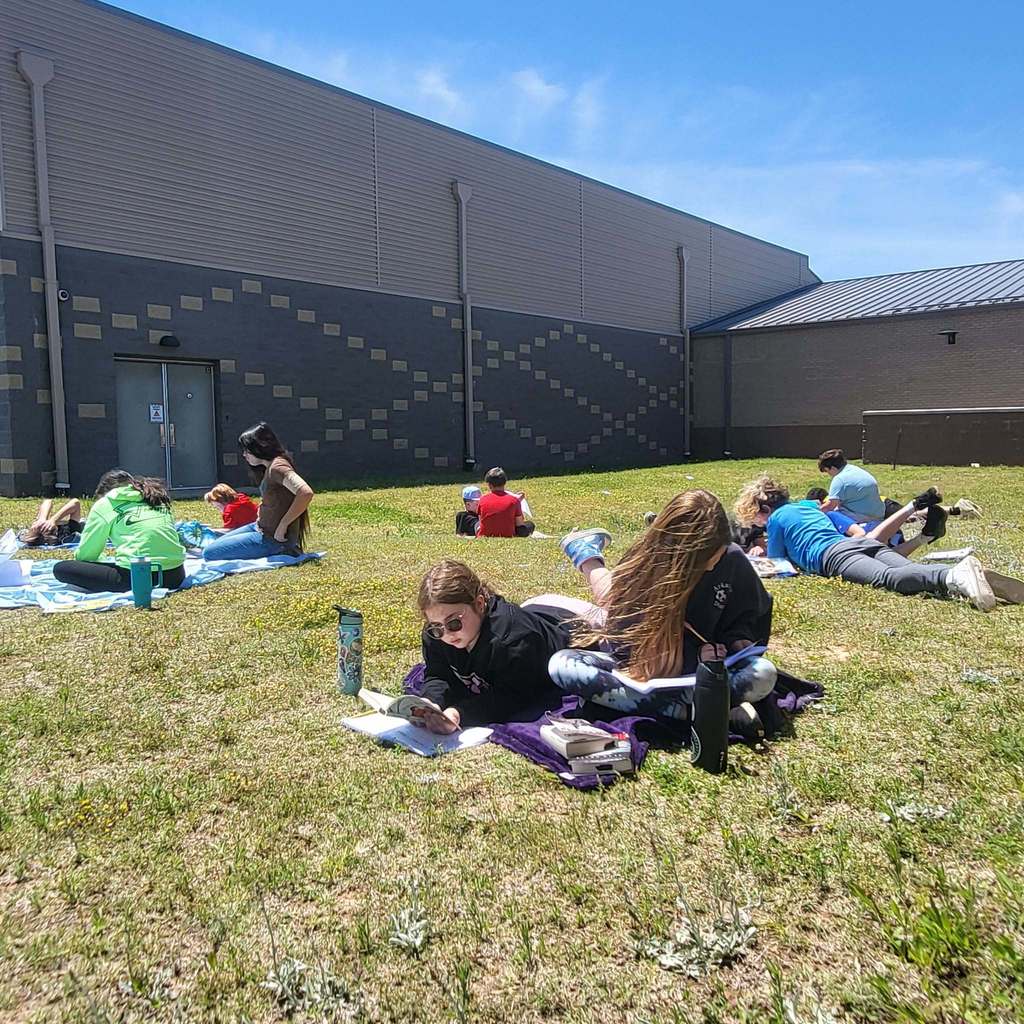 Book Picnic