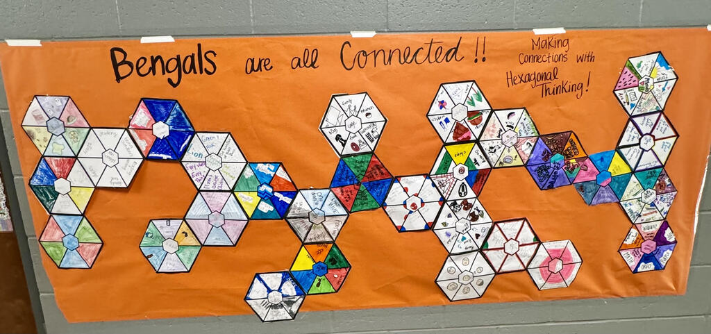Making Connections Activity 