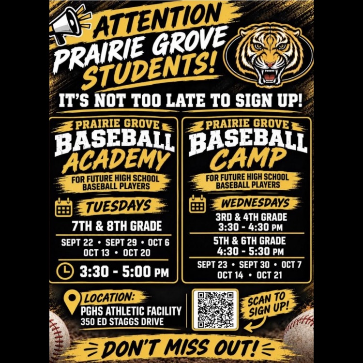 baseball camp