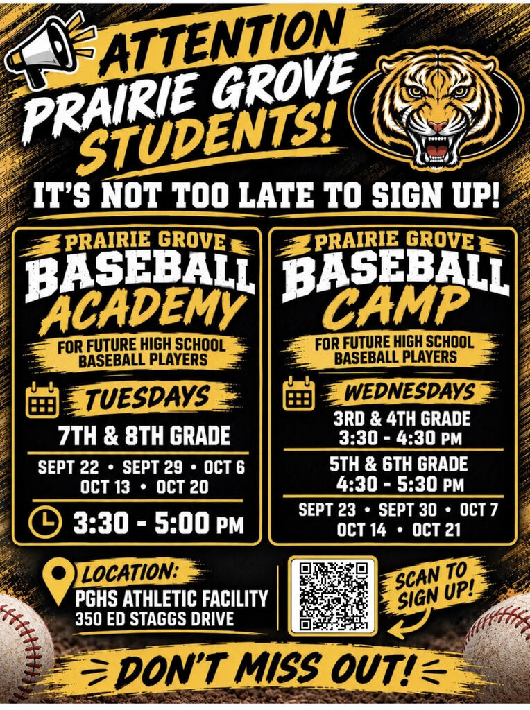 Baseball Camp