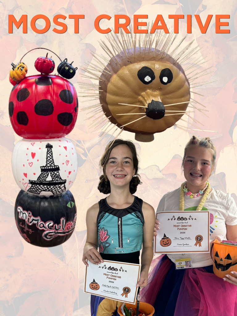 Most Creative - Lady Bug & Cat Noir and Mrs. Tiggy-Winkle