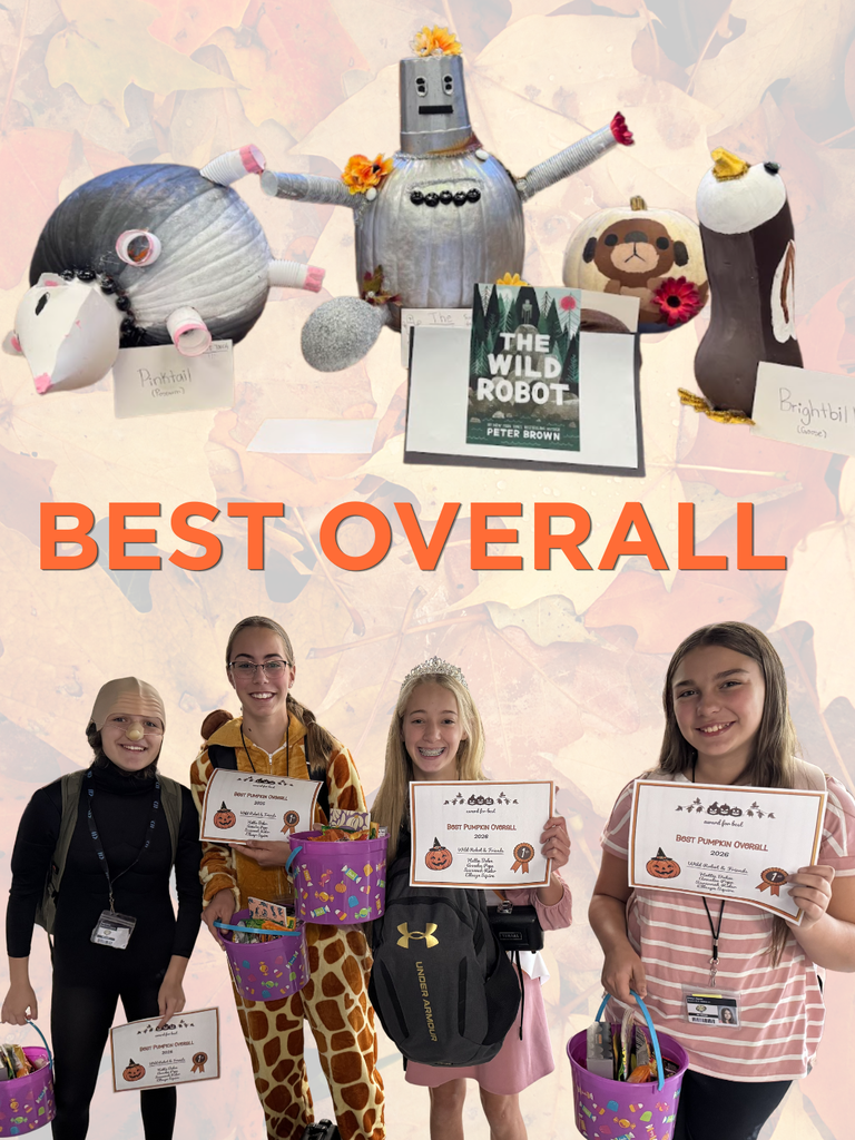 Best Overall - Wild Robot & Friends
