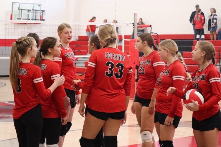 panthers vb