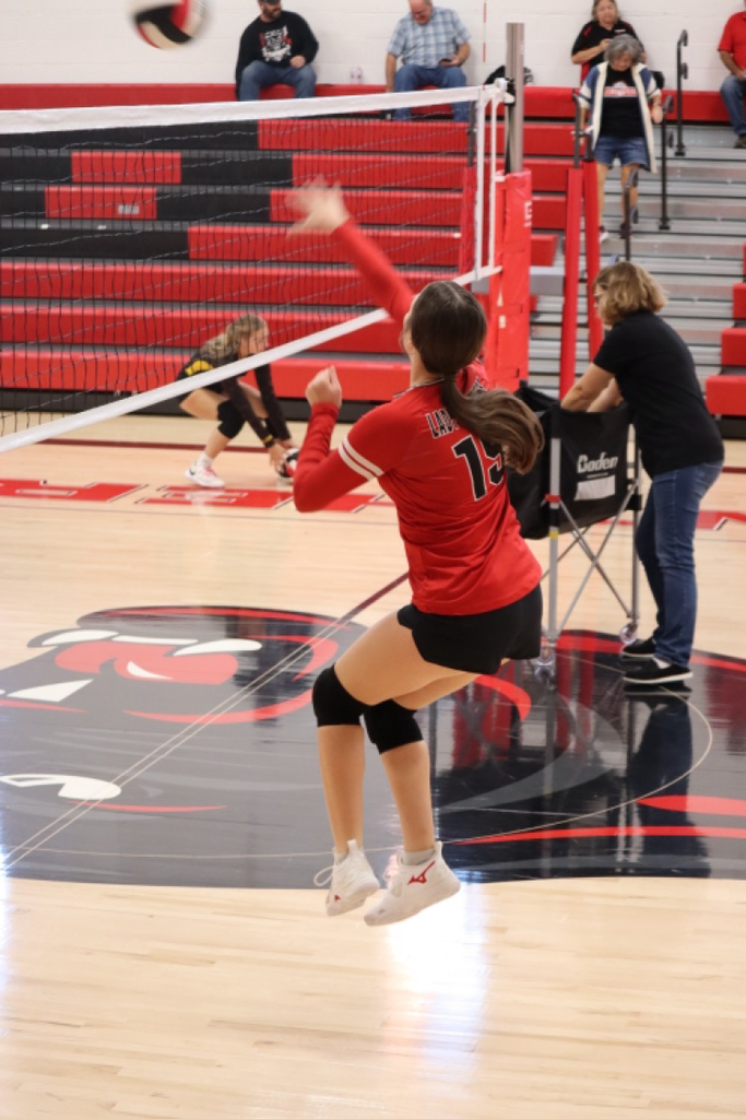 panthers vb