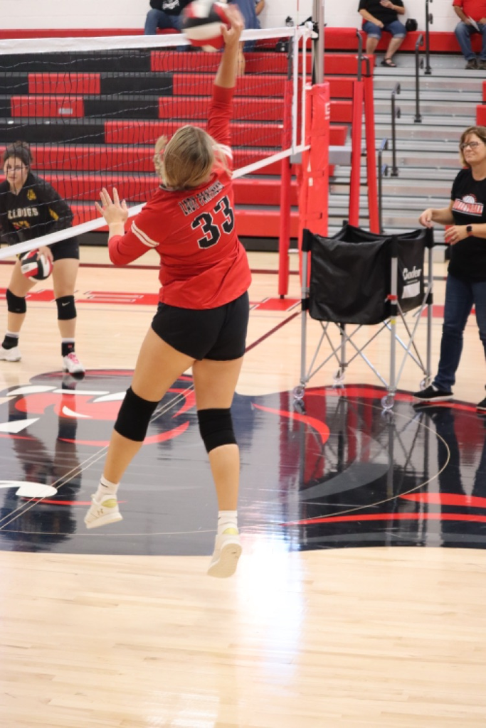 panthers vb