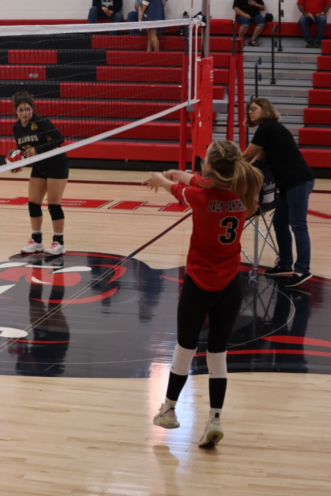 panthers vb