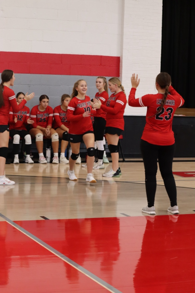 panthers vb