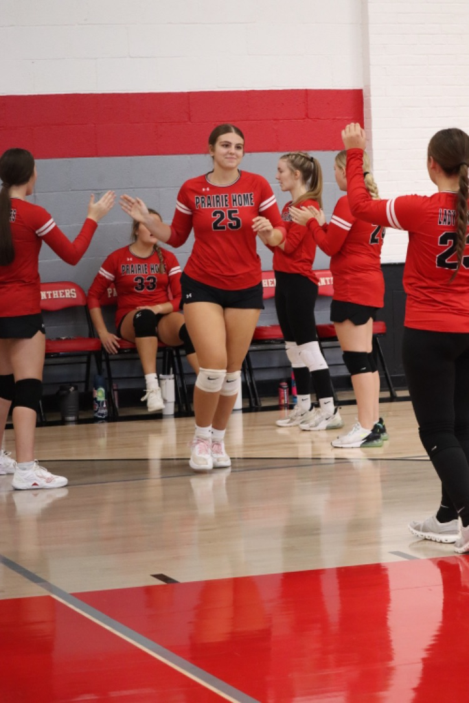 panthers vb
