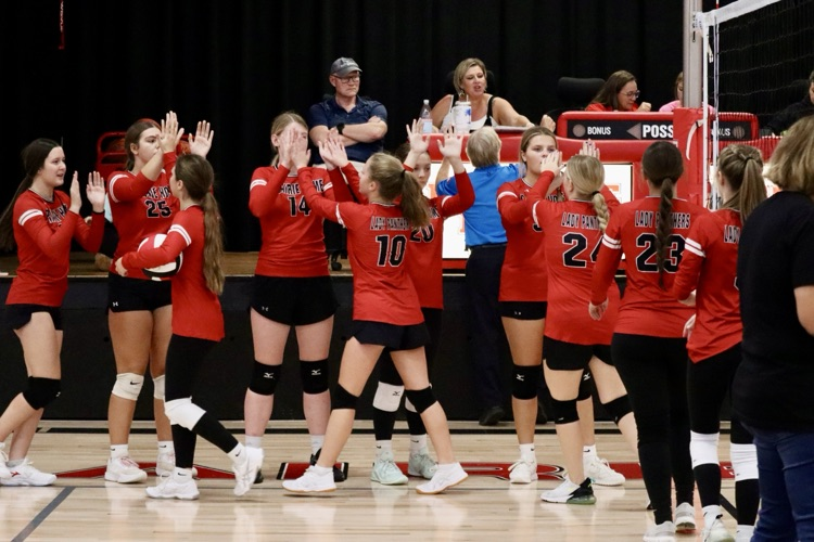 panthers vb