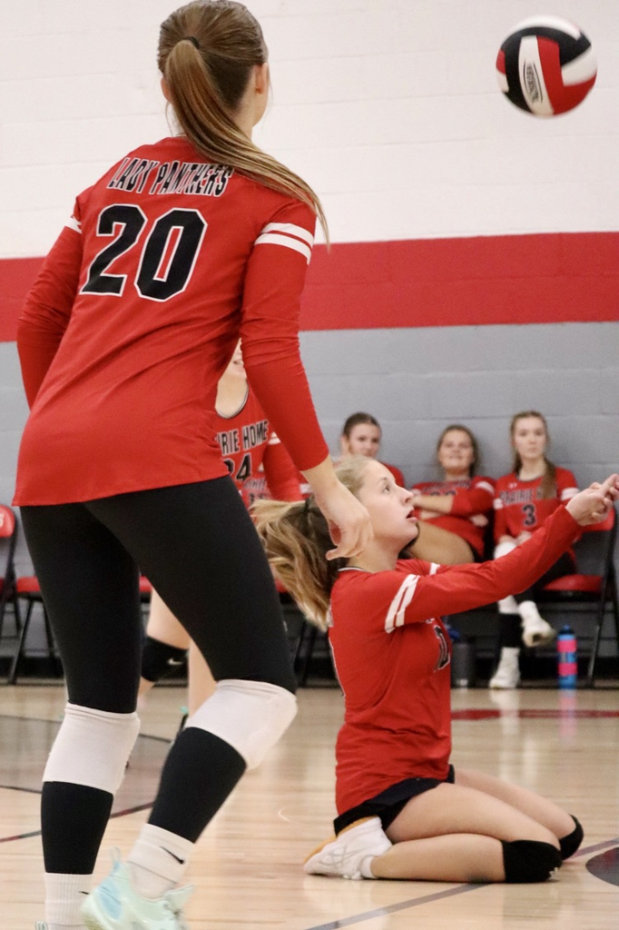 panthers vb