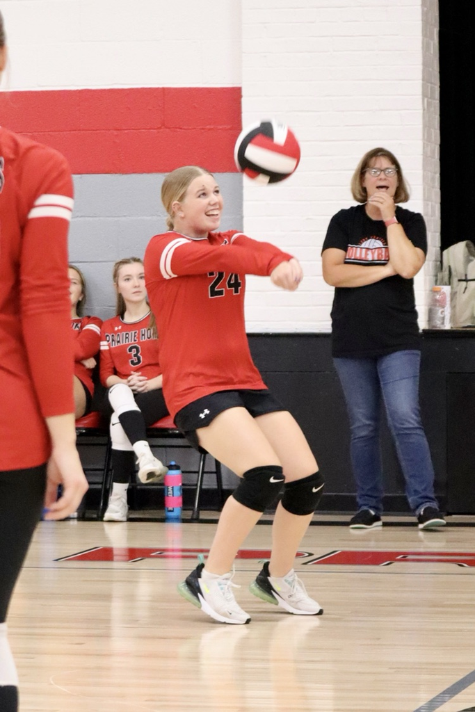 panthers vb