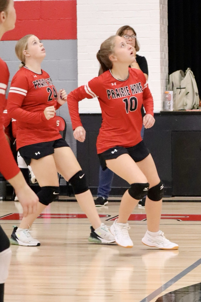 panthers vb