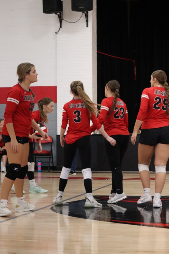 panthers vb