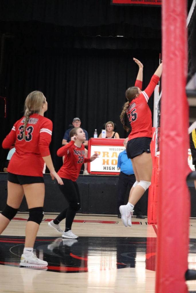 panthers vb