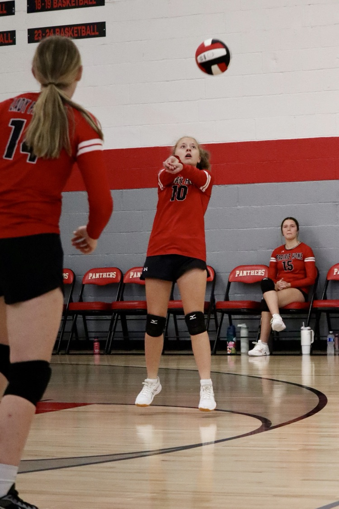 panthers vb