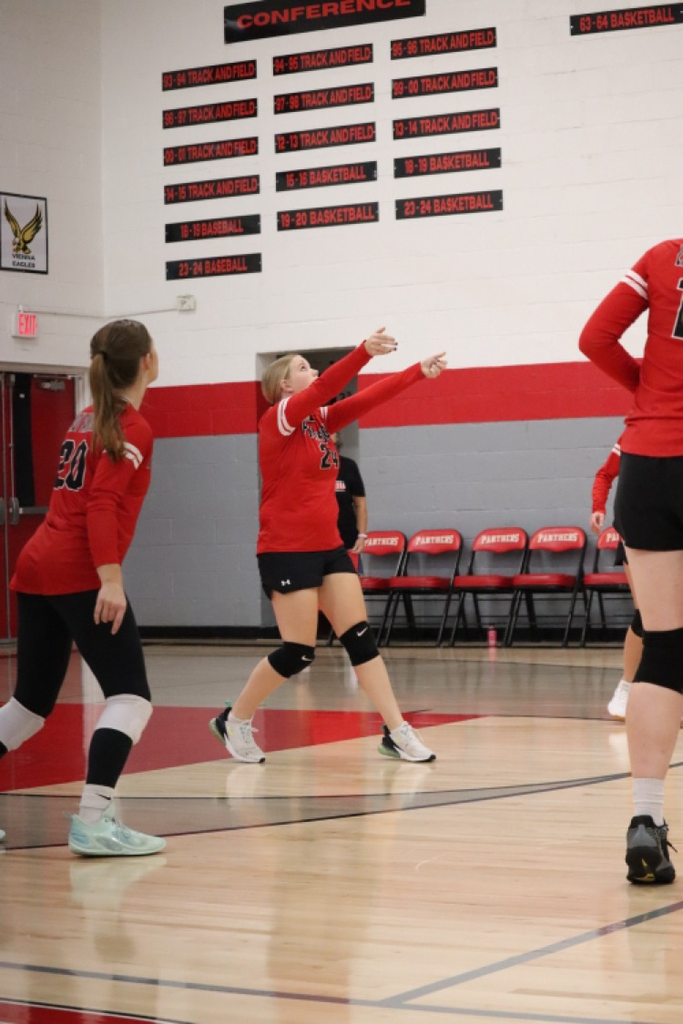 panthers vb