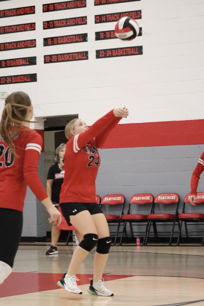 panthers vb
