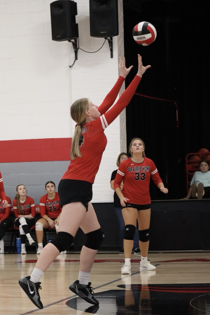 panthers vb