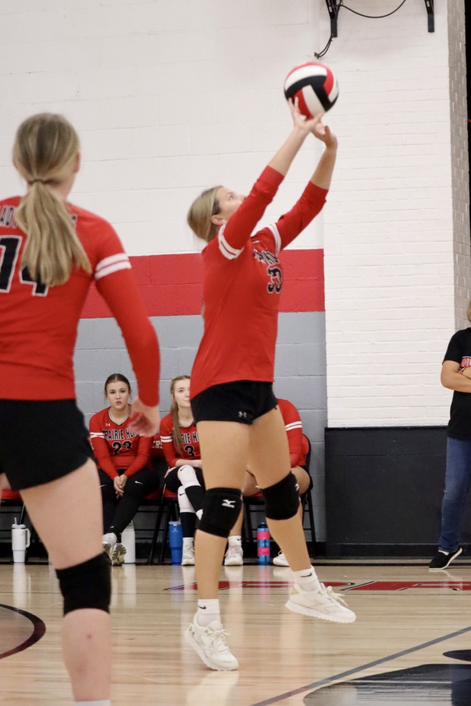 panthers vb