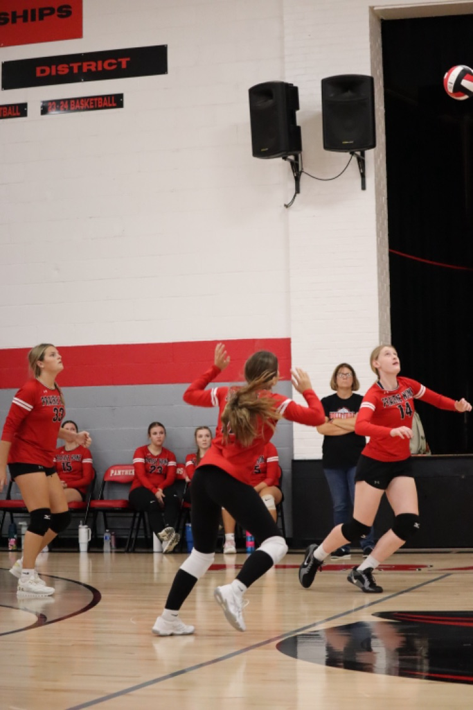 panthers vb