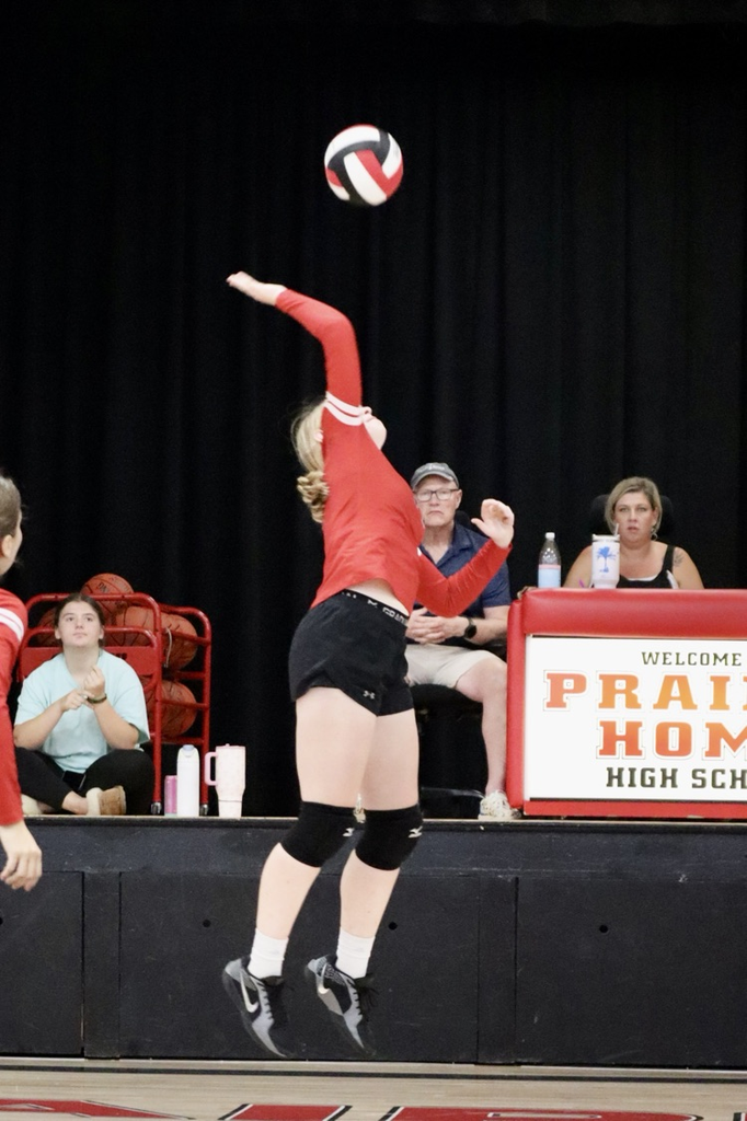 panthers vb