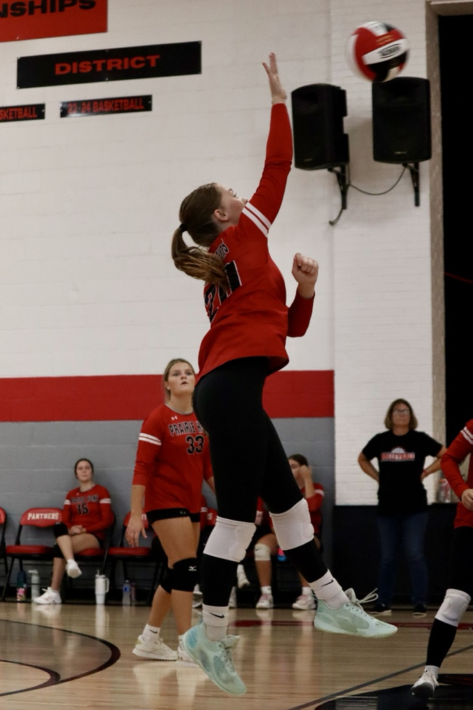 panthers vb