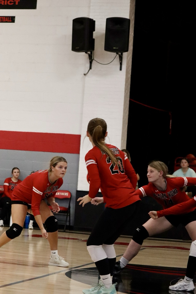 panthers vb