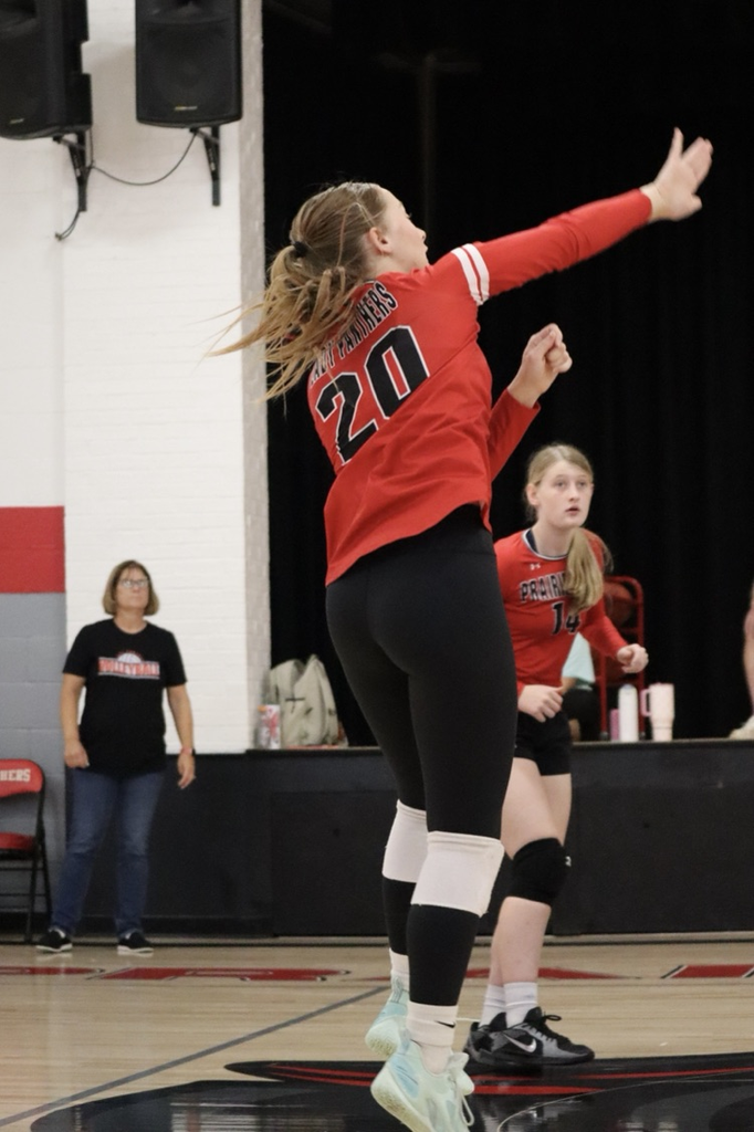 panthers vb