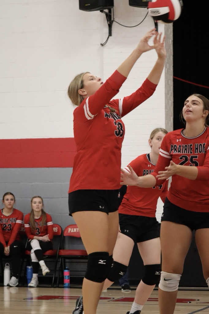 panthers vb