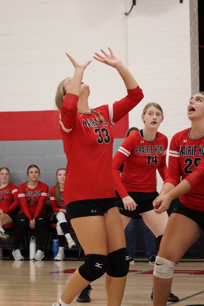 panthers vb