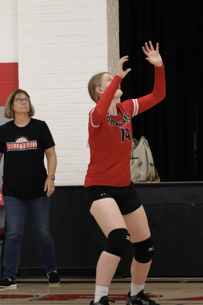 panthers vb